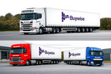 6481.Buywise.153x.png